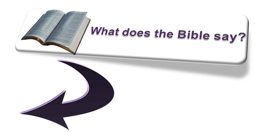 What does the Bible Say?
